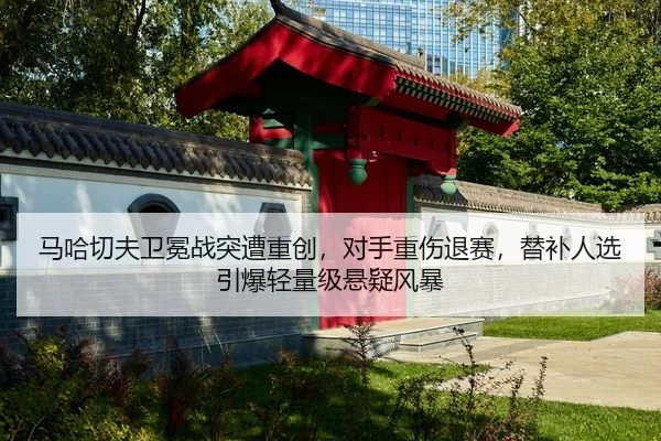 马哈切夫卫冕战突遭重创，对手重伤退赛，替补人选引爆轻量级悬疑风暴