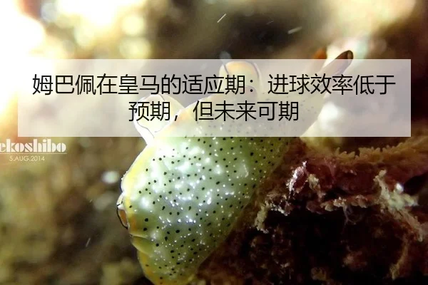 姆巴佩在皇马的适应期：进球效率低于预期，但未来可期