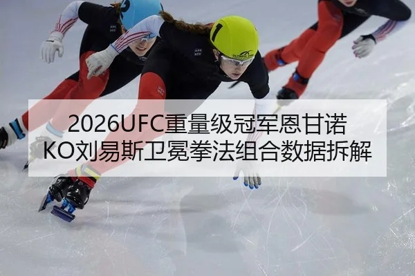 2026UFC重量级冠军恩甘诺KO刘易斯卫冕拳法组合数据拆解