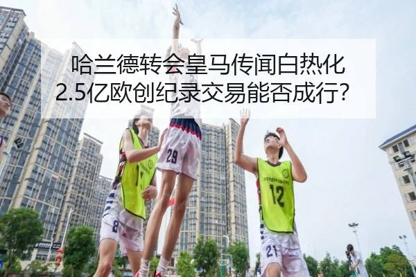 ha-lan-de-zhuan-hui-huang-ma-chuan-wen-bai-re-hua-yi-ou-chuang-ji-lu-jiao-yi-neng-fou-cheng-hang-2-295.jpg