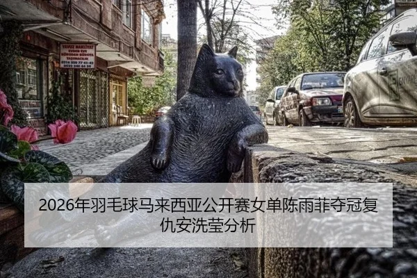 nian-yu-mao-qiu-ma-lai-xi-ya-gong-kai-sai-nv-dan-chen-yu-fei-duo-guan-fu-chou-an-xi-ying-fen-xi-3-919.jpg