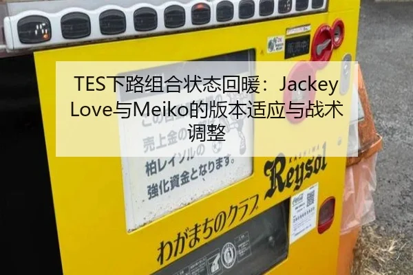 TES下路组合状态回暖：JackeyLove与Meiko的版本适应与战术调整